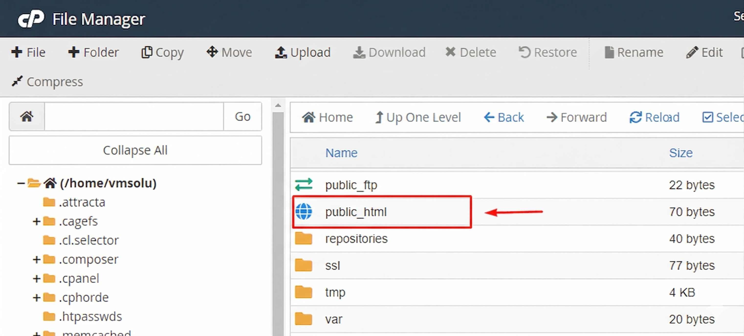 Navigate to public_html