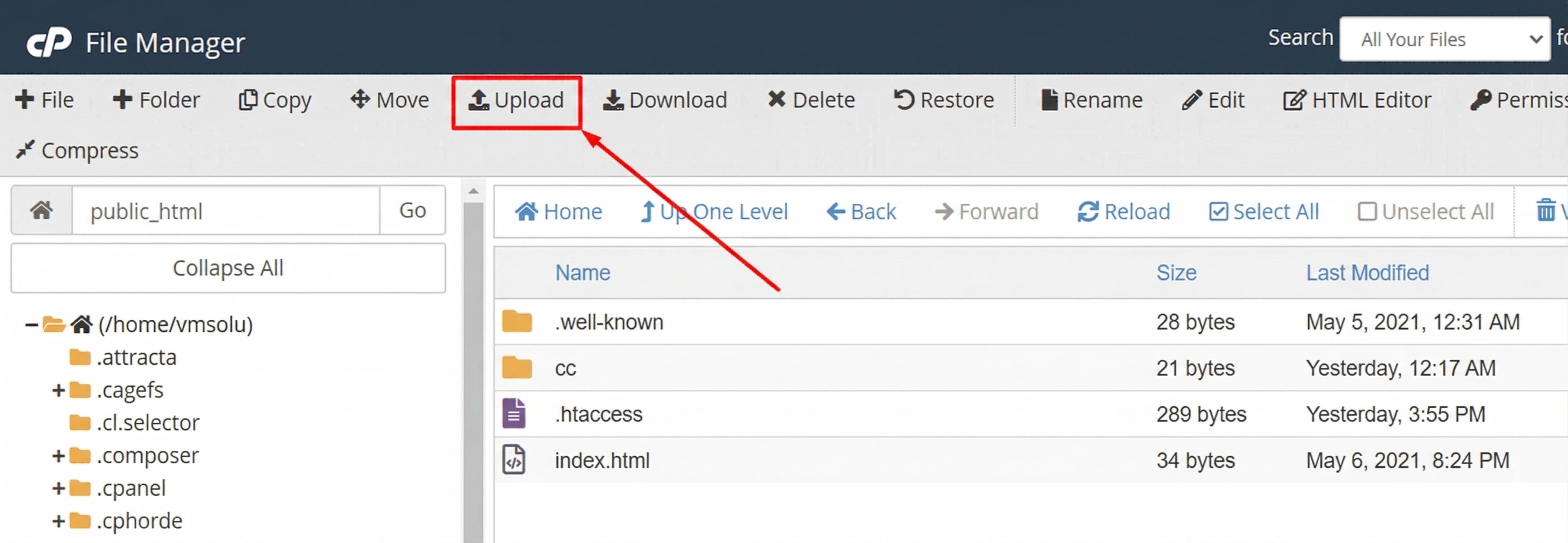 Upload ZIP to cPanel