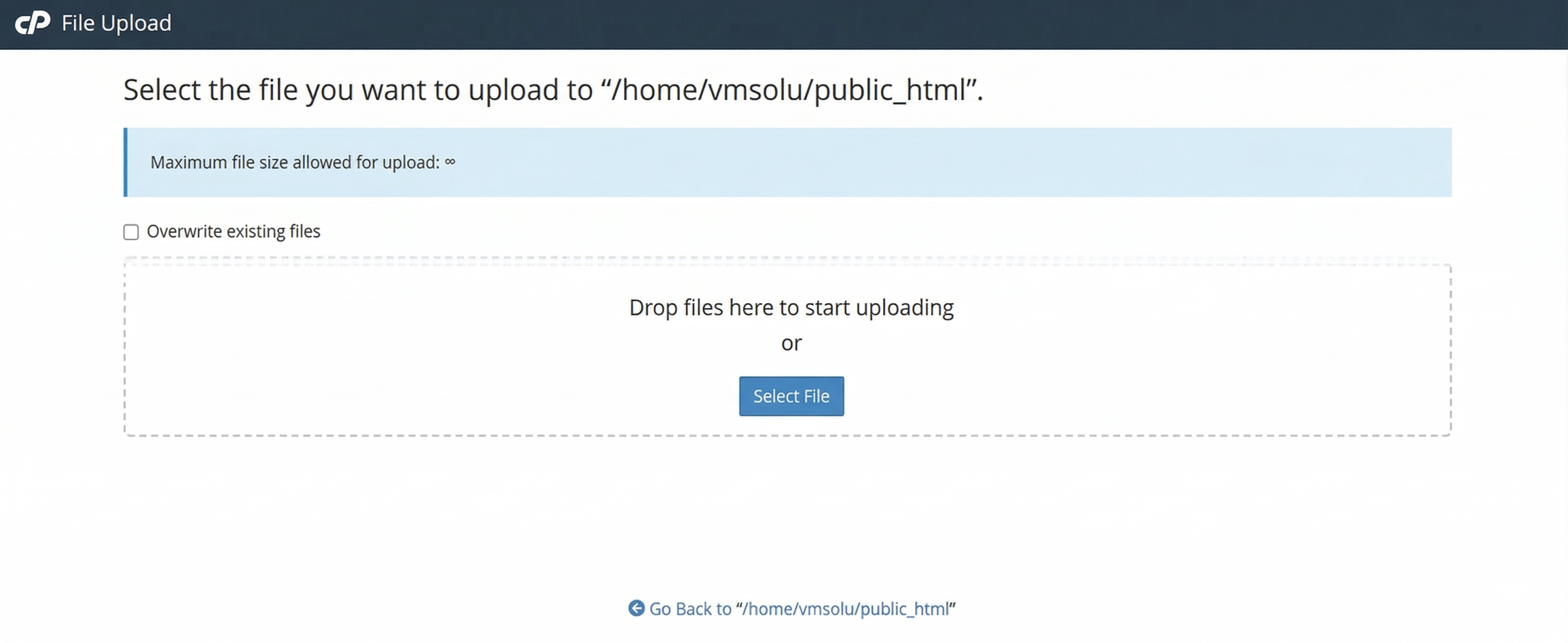 File Manager Upload Interface